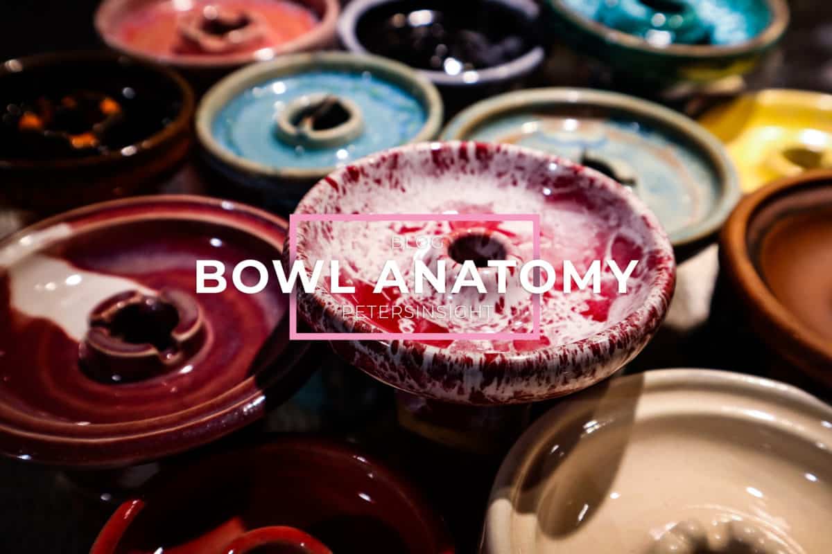 Bowl Anatomy